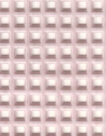 CANVAS DARICE ROSADO