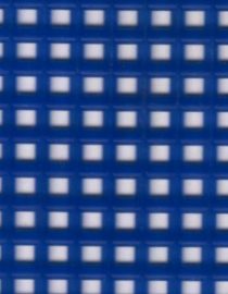 CANVAS DARICE AZUL
