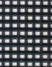 CANVAS DARICE NEGRA