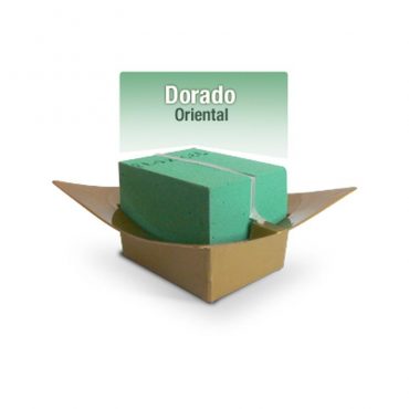 BASE CLICK ORIENTAL CHICO DORADO