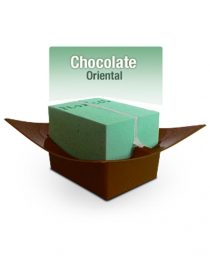 BASE CLICK ORIENTAL CHICO CHOCOLATE