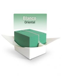 BASE CLICK ORIENTAL CHICO BLANCO