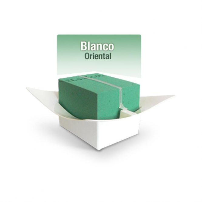 BASE CLICK ORIENTAL CHICO BLANCO