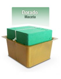 BASE CLICK MACETA DORADO