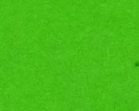 FOAMIES GRUESO 12X20 V CANA