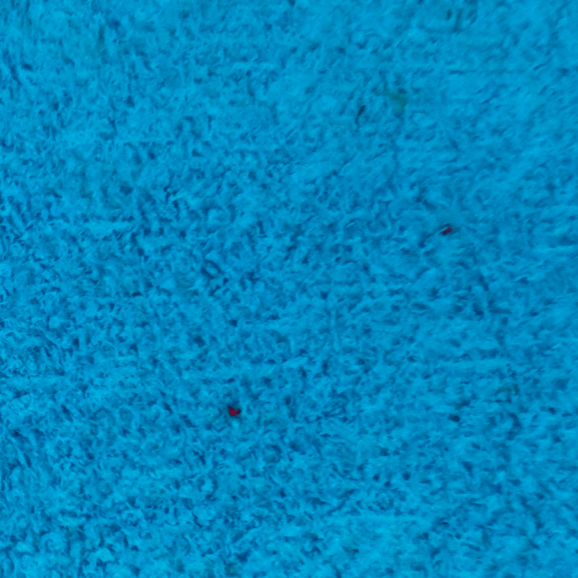 30004_26_ZT014