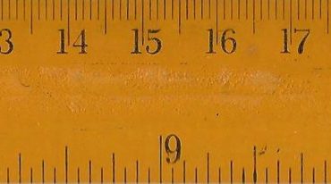 SW503 REGLAS DE MADERA 12"